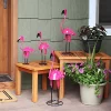 Best deal ๐ Sunnydaze Flamingo Family Fiesta Metal Yard Art Statues by Sunnydaze Decor โ๏ธ 2 Best deal ๐ Sunnydaze Flamingo Family Fiesta Metal Yard Art Statues by Sunnydaze Decor โ๏ธ -Sunnydaze Decor Shop Belk 1328