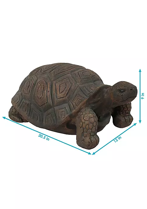 Discount ๐ฅฐ Tanya the Tortoise Indoor/Outdoor Statue - 20 in by Sunnydaze Decor โ 7 Discount ๐ฅฐ Tanya the Tortoise Indoor/Outdoor Statue - 20 in by Sunnydaze Decor โ - Image 5