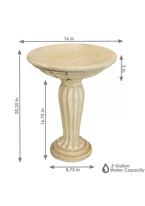 Hot Sale ๐ Crecian Glass Fiber Reinforced Concrete Bird Bath - 16 in - Cream by Sunnydaze Decor ๐คฉ 7 Hot Sale ๐ Crecian Glass Fiber Reinforced Concrete Bird Bath - 16 in - Cream by Sunnydaze Decor ๐คฉ - Image 5