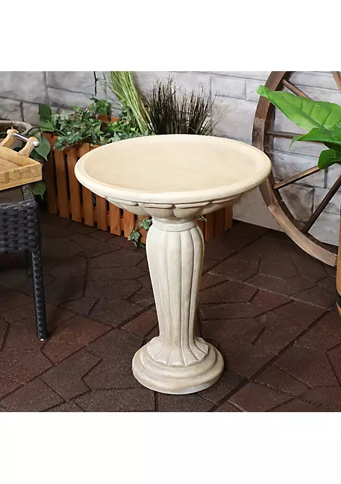 Hot Sale ๐ Crecian Glass Fiber Reinforced Concrete Bird Bath - 16 in - Cream by Sunnydaze Decor ๐คฉ 8 Hot Sale ๐ Crecian Glass Fiber Reinforced Concrete Bird Bath - 16 in - Cream by Sunnydaze Decor ๐คฉ - Image 6