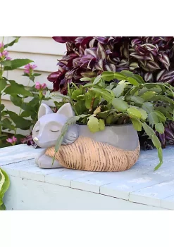 Flash Sale 🔥 Sunnydaze Finley the Fox Planter Statue - Indoor Flower Pot - 8-Inch by Sunnydaze Decor 🔔 -Sunnydaze Decor Shop Belk 2143