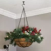 Best Pirce ✔️ Pre-Lit ❄ Christmas Hanging Basket with Holly Berries and Pinecones by Sunnydaze Decor 😍 -Sunnydaze Decor Shop Belk 318