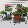Coupon 👍 Sunnydaze French Lily Design Three Tiered Plant Stand - 22 Inch - Set of 2 by Sunnydaze Decor 🔔 -Sunnydaze Decor Shop Belk 3386