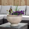 Brand new 🧨 Sunnydaze Elizabeth Outdoor Flower Pot Planter - Beige - 16-Inch - Single by Sunnydaze Decor 🌟 2 Brand new 🧨 Sunnydaze Elizabeth Outdoor Flower Pot Planter - Beige - 16-Inch - Single by Sunnydaze Decor 🌟 -Sunnydaze Decor Shop Belk 3731