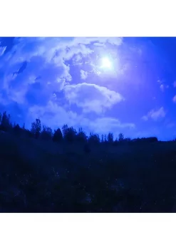 Buy 🧨 Blue Mirrored Surface Gazing Globe - 10 in by Sunnydaze Decor 🔔 -Sunnydaze Decor Shop Belk 3813