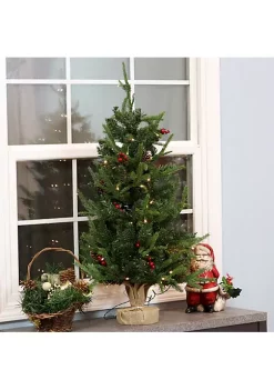 Best deal ⌛ Natural Noel Indoor Pre-Lit Artificial 🎅 Christmas Tree - 3 ft by Sunnydaze Decor 🥰 -Sunnydaze Decor Shop Belk 496