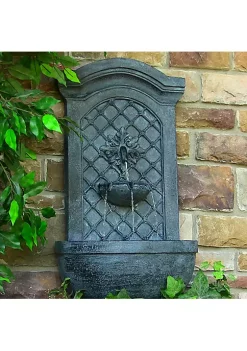 Coupon 🤩 Rosette Leaf Outdoor Solar Wall Fountain with Battery - Lead by Sunnydaze Decor 👍