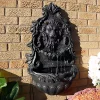 Buy 👏 Stoic Courage Lion Head Polyresin Outdoor Solar Wall Fountain by Sunnydaze Decor 😉 -Sunnydaze Decor Shop Belk 5102