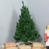 Best Sale 🛒 Sunnydaze Unlit Artificial Tannenbaum 🎄 Christmas Tree - Green - 4-Foot by Sunnydaze Decor 💯 -Sunnydaze Decor Shop Belk 545