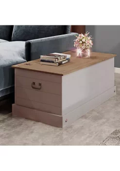 Outlet 😉 Solid Pine Trunk with Handles - Gray - 39.5" W by Sunnydaze Decor ⭐