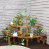 Flash Sale ✨ Meranti Wood/Teak Oil Finish 3-Tier Curved Plant Stand - 5.75 ft by Sunnydaze Decor 🤩 -Sunnydaze Decor Shop Belk 6561