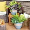 New 🌟 Purlieu Ceramic Planter - 12" - Shoreline - Set of 2 by Sunnydaze Decor 🥰 -Sunnydaze Decor Shop Belk 6612