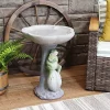 Best Sale 👏 Polyresin Brooding Frog on Stone Outdoor Garden Bird Bath - 22 in by Sunnydaze Decor 🥰