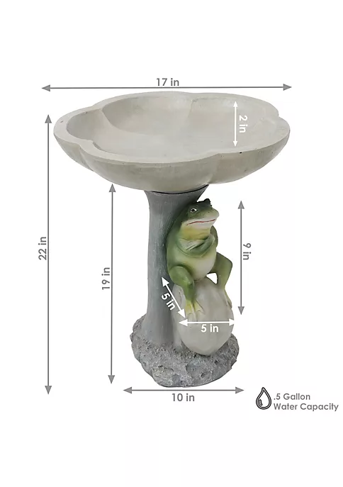 Best Sale ๐ Polyresin Brooding Frog on Stone Outdoor Garden Bird Bath - 22 in by Sunnydaze Decor ๐ฅฐ 7 Best Sale ๐ Polyresin Brooding Frog on Stone Outdoor Garden Bird Bath - 22 in by Sunnydaze Decor ๐ฅฐ - Image 5