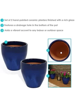 New 😉 10 in Resort Glazed Ceramic Planter - Imperial Blue - Set of 2 by Sunnydaze Decor 🤩 -Sunnydaze Decor Shop Belk 6862