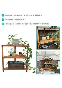 Top 10 😉 Meranti Wood/Teak Oil Finish 3-Tier Corner Plant Stand - 36 in by Sunnydaze Decor 👏 -Sunnydaze Decor Shop Belk 7075