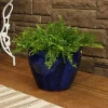 Buy 🌟 15 in Chalet High-Fired Glazed Ceramic Planter - Imperial Blue by Sunnydaze Decor 🥰 -Sunnydaze Decor Shop Belk 7427