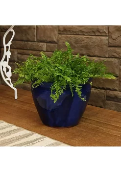 Buy 🌟 15 in Chalet High-Fired Glazed Ceramic Planter - Imperial Blue by Sunnydaze Decor 🥰