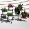 Best Sale 🥰 Black Iron Indoor/Outdoor 3-Tier Plant Stand - 22 in - Set of 2 by Sunnydaze Decor 🛒 -Sunnydaze Decor Shop Belk 7890