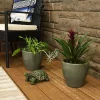 Best deal 🌟 Sunnydaze Resort Ceramic Indoor/Outdoor Planter - Gray - 8-Inch - Set of 2 by Sunnydaze Decor 👍 -Sunnydaze Decor Shop Belk 8130