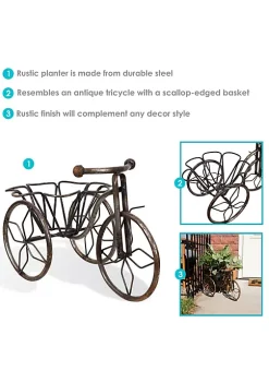 Buy 🔔 Sunnydaze Indoor/Outdoor Metal Tricycle Standing Planter Basket - 12-Inch - Brown by Sunnydaze Decor ✨ -Sunnydaze Decor Shop Belk 8375