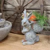 Coupon ⭐ Roman the Carrot Collector Indoor/Outdoor Rabbit Statue - 17 in by Sunnydaze Decor 👏 -Sunnydaze Decor Shop Belk 8378