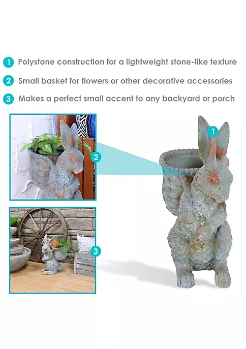 Coupon โญ Roman the Carrot Collector Indoor/Outdoor Rabbit Statue - 17 in by Sunnydaze Decor ๐ 6 Coupon โญ Roman the Carrot Collector Indoor/Outdoor Rabbit Statue - 17 in by Sunnydaze Decor ๐ - Image 4