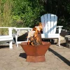Best Sale 😍 23 in Rustic Affinity Steel Fire Pit with Pedestal Stand by Sunnydaze Decor ⭐ -Sunnydaze Decor Shop Belk 847