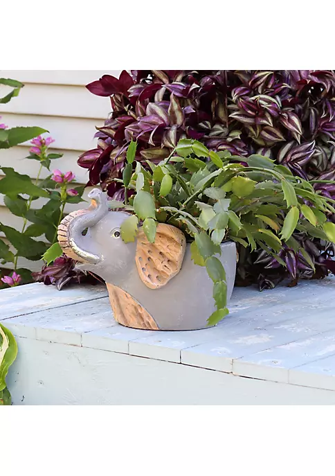 Wholesale 😀 Sunnydaze Elsie the Elephant Planter Statue - Indoor Flower Pot - 8.5-Inch by Sunnydaze Decor 💯 3 Wholesale 😀 Sunnydaze Elsie the Elephant Planter Statue - Indoor Flower Pot - 8.5-Inch by Sunnydaze Decor 💯