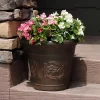 Best reviews of 🎉 16 in Arabella Polyresin Planter with UV-Resistance - Rust by Sunnydaze Decor 👍 -Sunnydaze Decor Shop Belk 8631