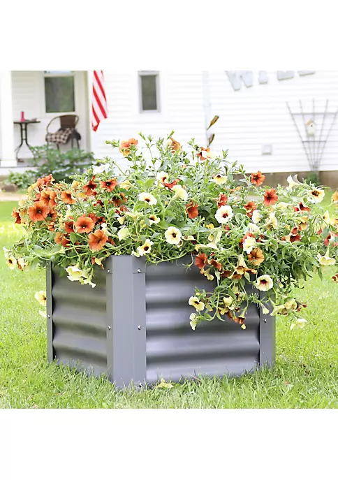 Brand new 🤩 Powder-Coated Steel Square Raised Garden Bed - Gray - 22 in by Sunnydaze Decor 🤩 3 Brand new 🤩 Powder-Coated Steel Square Raised Garden Bed - Gray - 22 in by Sunnydaze Decor 🤩