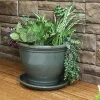 Budget 🤩 12 in Glazed Ceramic Flower Pot/Plant Saucer - Gray - Set of 2 by Sunnydaze Decor ⭐ -Sunnydaze Decor Shop Belk 8765