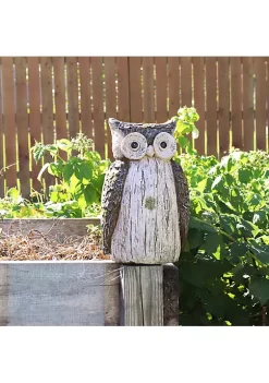 Buy ✨ Ophelia the Woodland Owl Indoor/Outdoor Statue - 13 in by Sunnydaze Decor 🔔 -Sunnydaze Decor Shop Belk 8816