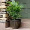 Discount ๐ฅฐ 20 in Charlotte Polyresin Planter with UV-Resistant Finish - Rust by Sunnydaze Decor ๐ 2 Discount ๐ฅฐ 20 in Charlotte Polyresin Planter with UV-Resistant Finish - Rust by Sunnydaze Decor ๐ -Sunnydaze Decor Shop Belk 8983