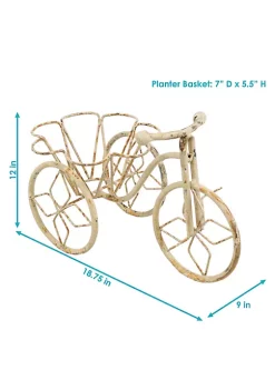 Buy 🎉 Sunnydaze Indoor/Outdoor Metal Tricycle Standing Planter Basket - 12-Inch - White by Sunnydaze Decor 🔥 -Sunnydaze Decor Shop Belk 9072