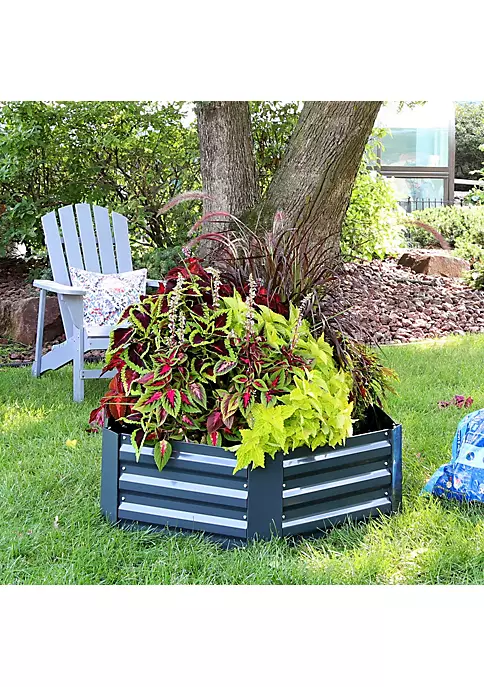 Deals 🎁 Galvanized Steel Hexagon Raised Garden Bed - 40 in - Dark Gray by Sunnydaze Decor ⭐ 8 Deals 🎁 Galvanized Steel Hexagon Raised Garden Bed - 40 in - Dark Gray by Sunnydaze Decor ⭐ - Image 6