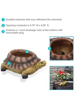 Promo 🔔 11 in Polyresin Teddy the Tortoise Indoor/Outdoor Garden Planter by Sunnydaze Decor ✔️ 11 Promo 🔔 11 in Polyresin Teddy the Tortoise Indoor/Outdoor Garden Planter by Sunnydaze Decor ✔️ -Sunnydaze Decor Shop Belk 9373