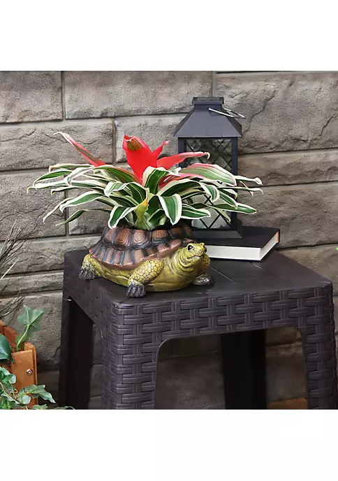 Promo 🔔 11 in Polyresin Teddy the Tortoise Indoor/Outdoor Garden Planter by Sunnydaze Decor ✔️ 8 Promo 🔔 11 in Polyresin Teddy the Tortoise Indoor/Outdoor Garden Planter by Sunnydaze Decor ✔️ - Image 6