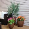Budget โญ Sunnydaze Fiber Clay Indoor/Outdoor Textured Rust Planter - 3-Piece by Sunnydaze Decor ๐งจ 1 Budget โญ Sunnydaze Fiber Clay Indoor/Outdoor Textured Rust Planter - 3-Piece by Sunnydaze Decor ๐งจ -Sunnydaze Decor Shop Belk 9892